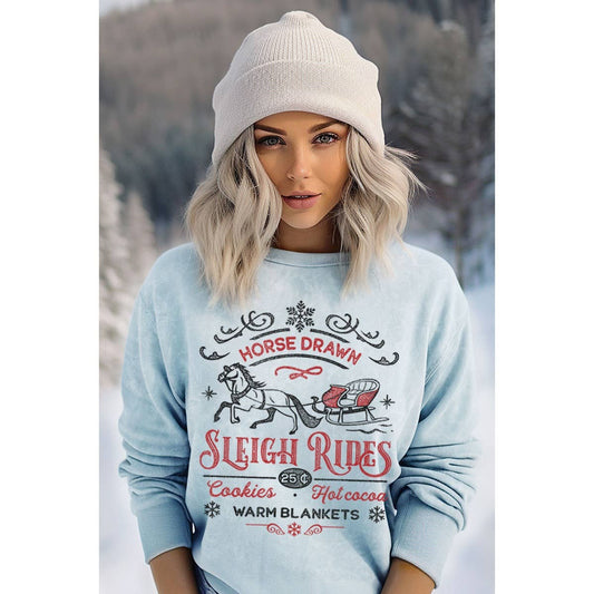SLEIGH RIDES MINERAL GRAPHIC SWEATWHIRTS