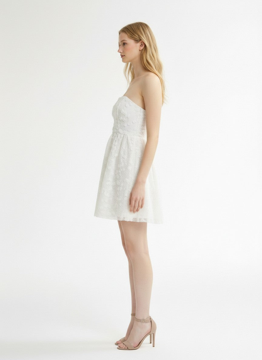 Lena Floral Applique Lace Tube Mini Flare Dress